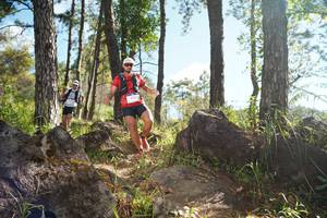 BIB: 
                            <button type="button" onclick="openModal(18934065)" class="btn btn-primary btn-sm float-right btn-popup" data-toggle="modal" data-target=".modal-high-quality">
                        <i class="fas fa-shopping-cart"></i> Add to Cart
                    </button>
                                            <button type="button" onclick="isThisMe(18934065, true)" class="btn btn-success btn-sm float-right btn-popup btn-isme hidden" data-toggle="tooltip" data-placement="bottom" title="นี่คือรูปของคุณใช่ไหม คลิกที่นี่เพื่อเอาเข้าอัลบั้ม">
                        <i class="fas fa-plus"></i> Add to album
                    </button>
                    <button type="button" onclick="isThisMe(18934065, false)" class="btn btn-warning btn-sm float-right btn-popup btn-isnotme hidden">
                        <i class="fas fa-ban"></i> Remove from album
                    </button>